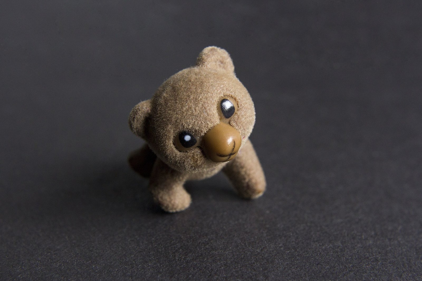 irina kukuts teddy bear 5488319 1920